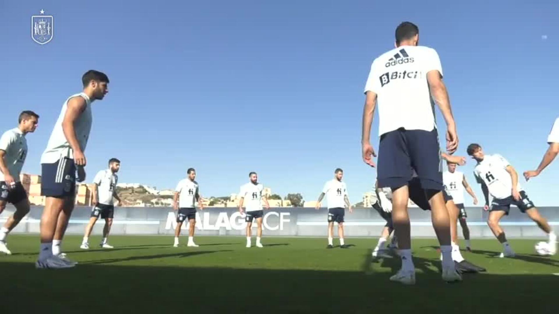 La selección española testa el césped de La Rosaleda