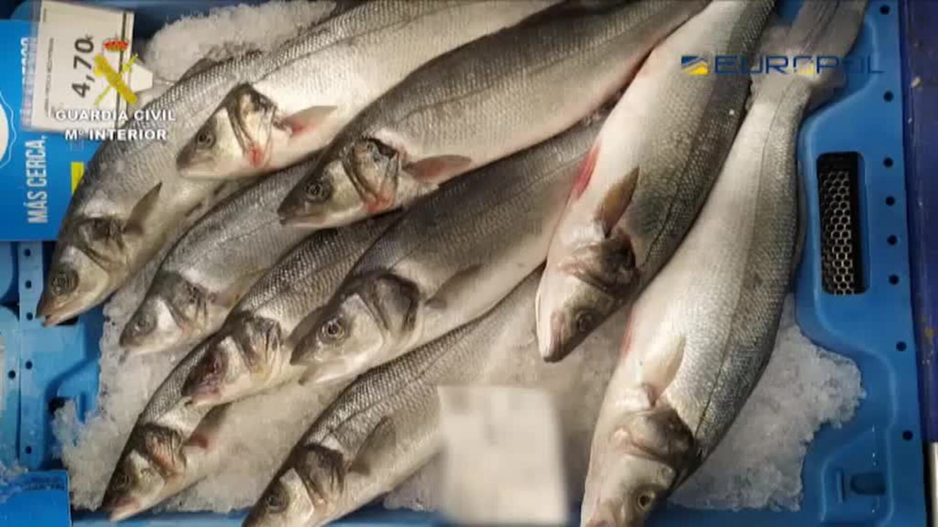 La Guardia Civil detiene a 19 personas por fraude alimentario