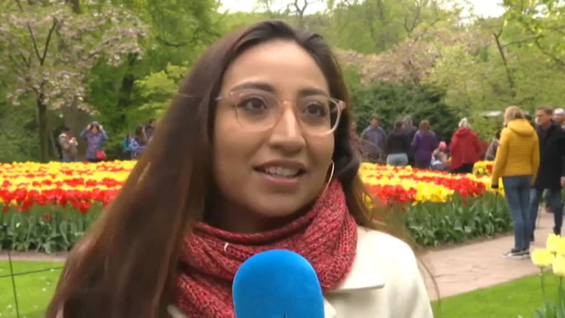 Países Bajos luce estos días todo el esplendor primaveral de los tulipanes