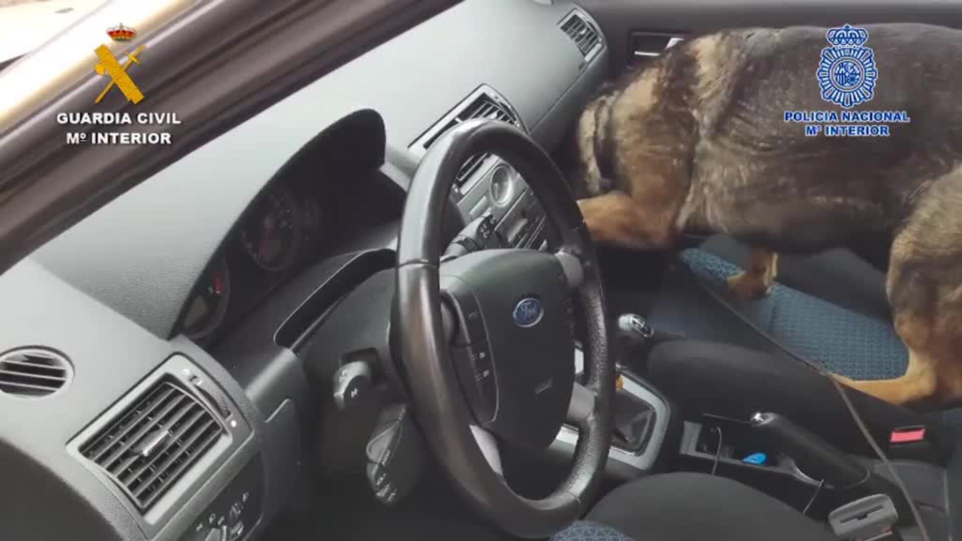 Detenidos 13 delincuentes dedicados a subastar vehículos ficticios por Internet