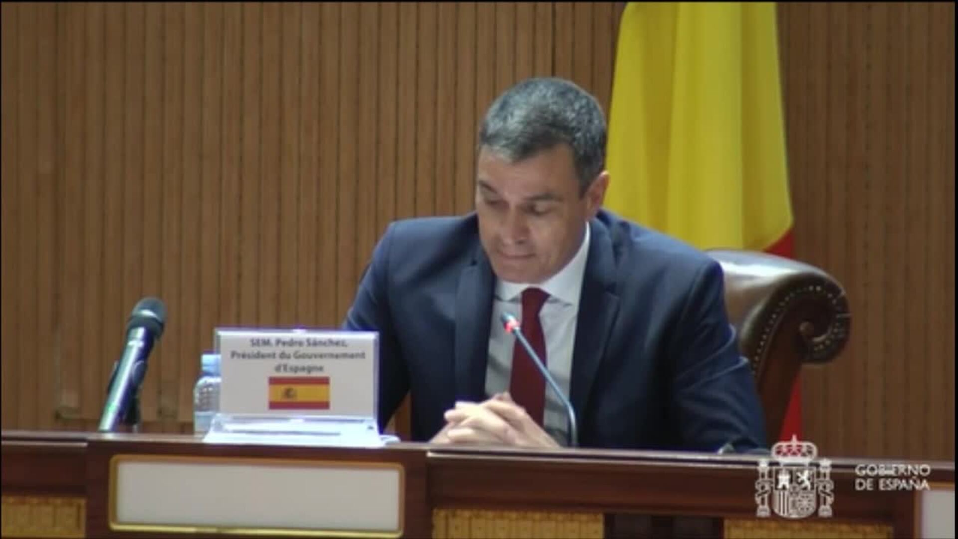 Sánchez destaca el papel &quot;importante&quot; de España en la formación del Ejército en Mali