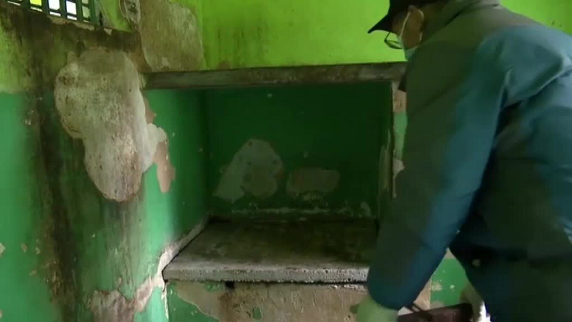 China protege del invierno al &#039;mono de la hoja&quot; con calefactores en sus jaulas