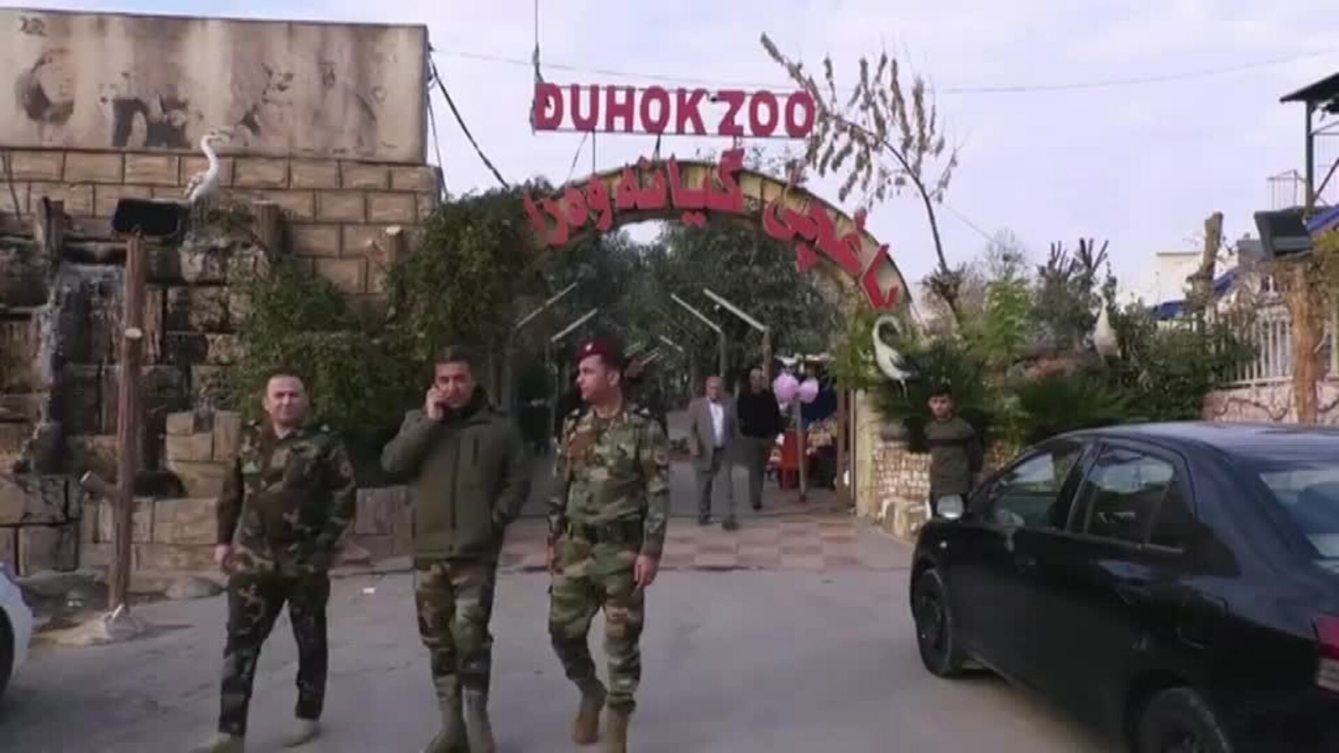 Un grupo de rescate en la región del Kurdistán encuentra un leopardo herido