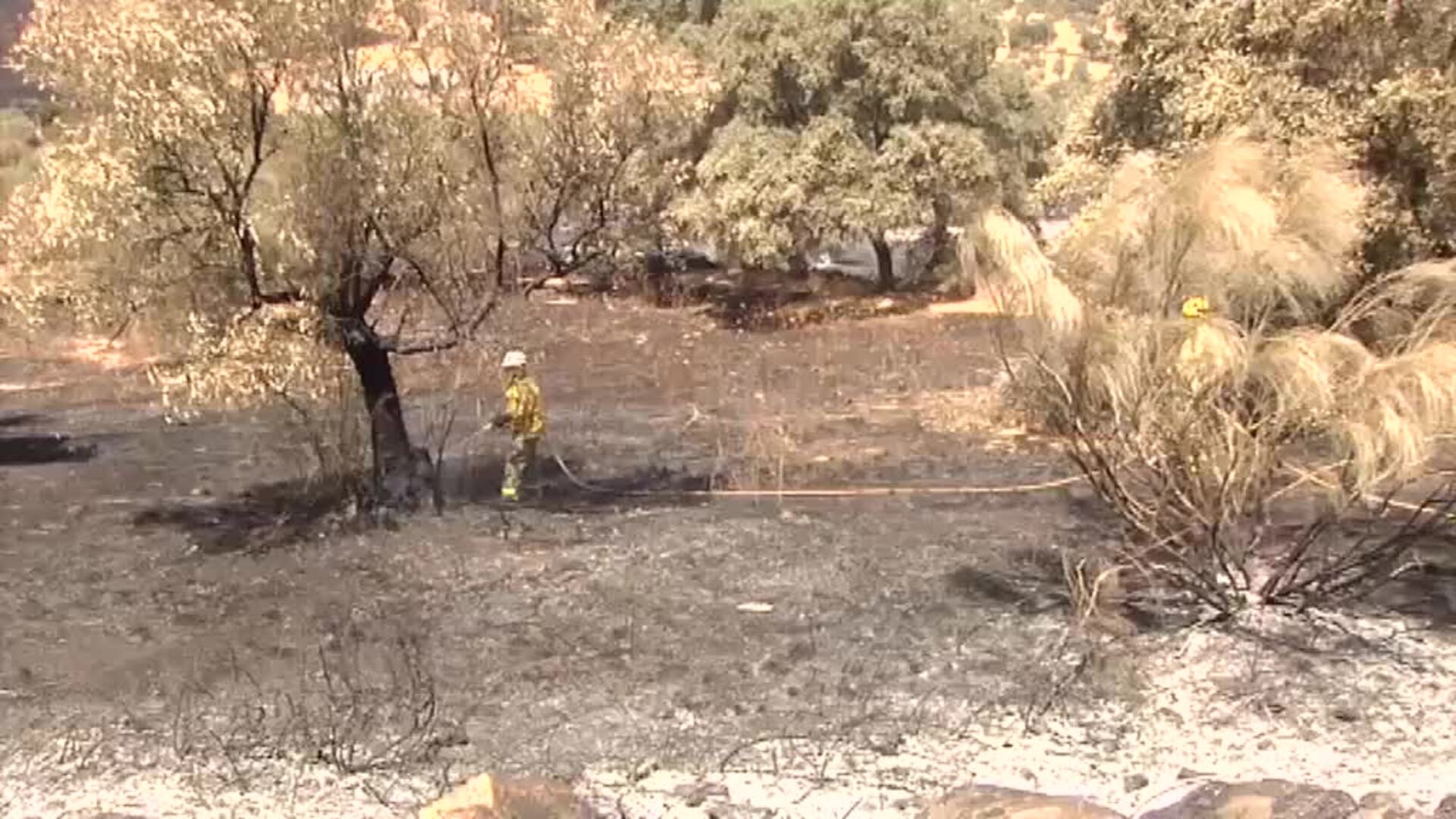 Controlado el incendio forestal de Cumbres Mayores, en Huelva