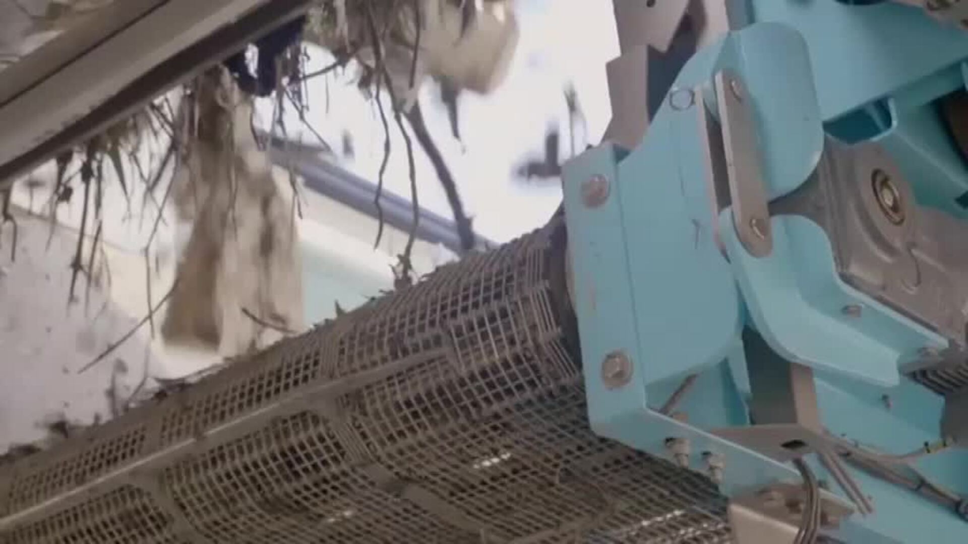 Coldplay invierte en la limpieza del río Klang en Malasia