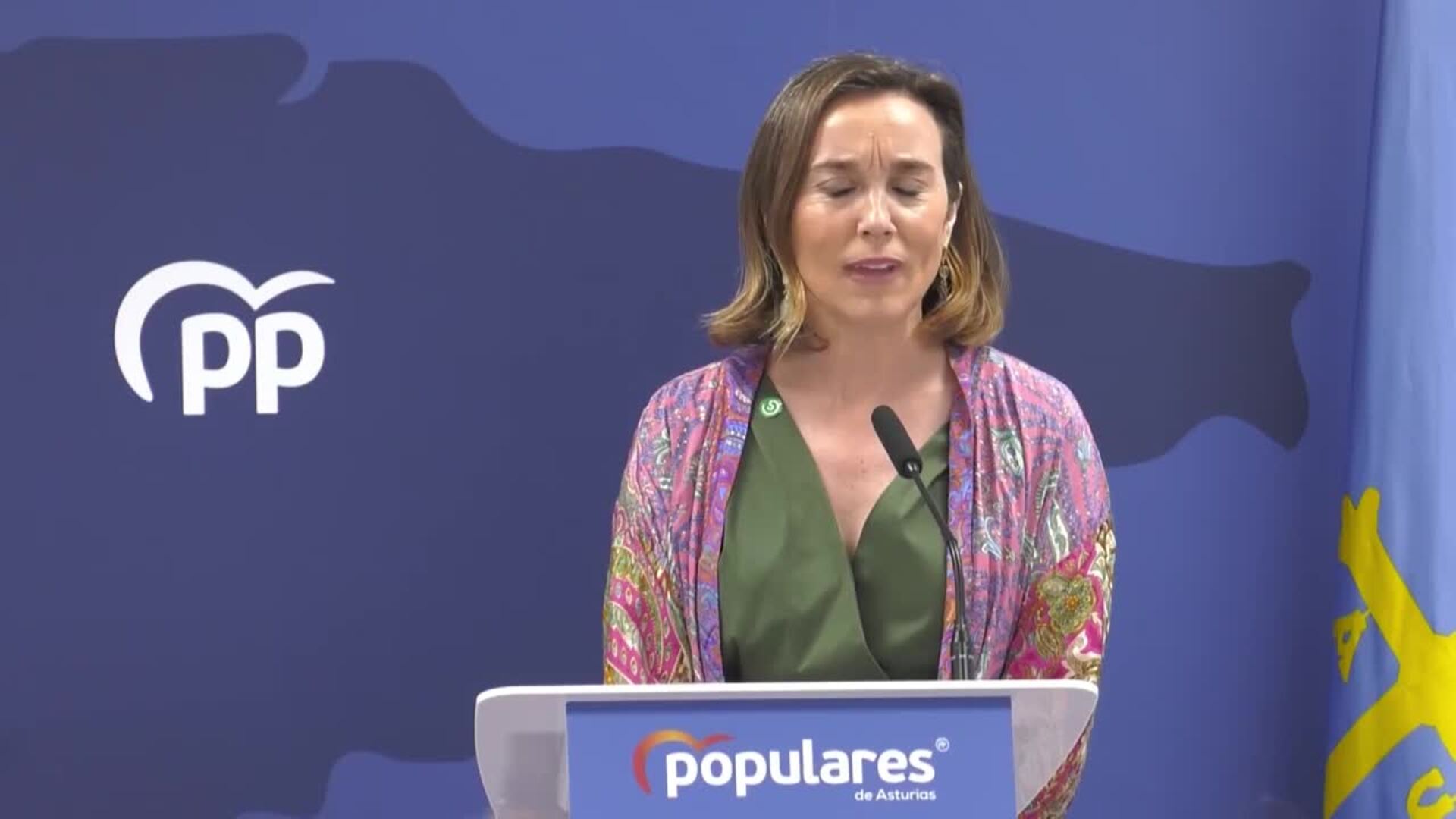 Gamarra cree que Asturias no tiene que &quot;resignarse&quot; a tener el proyecto del PSOE