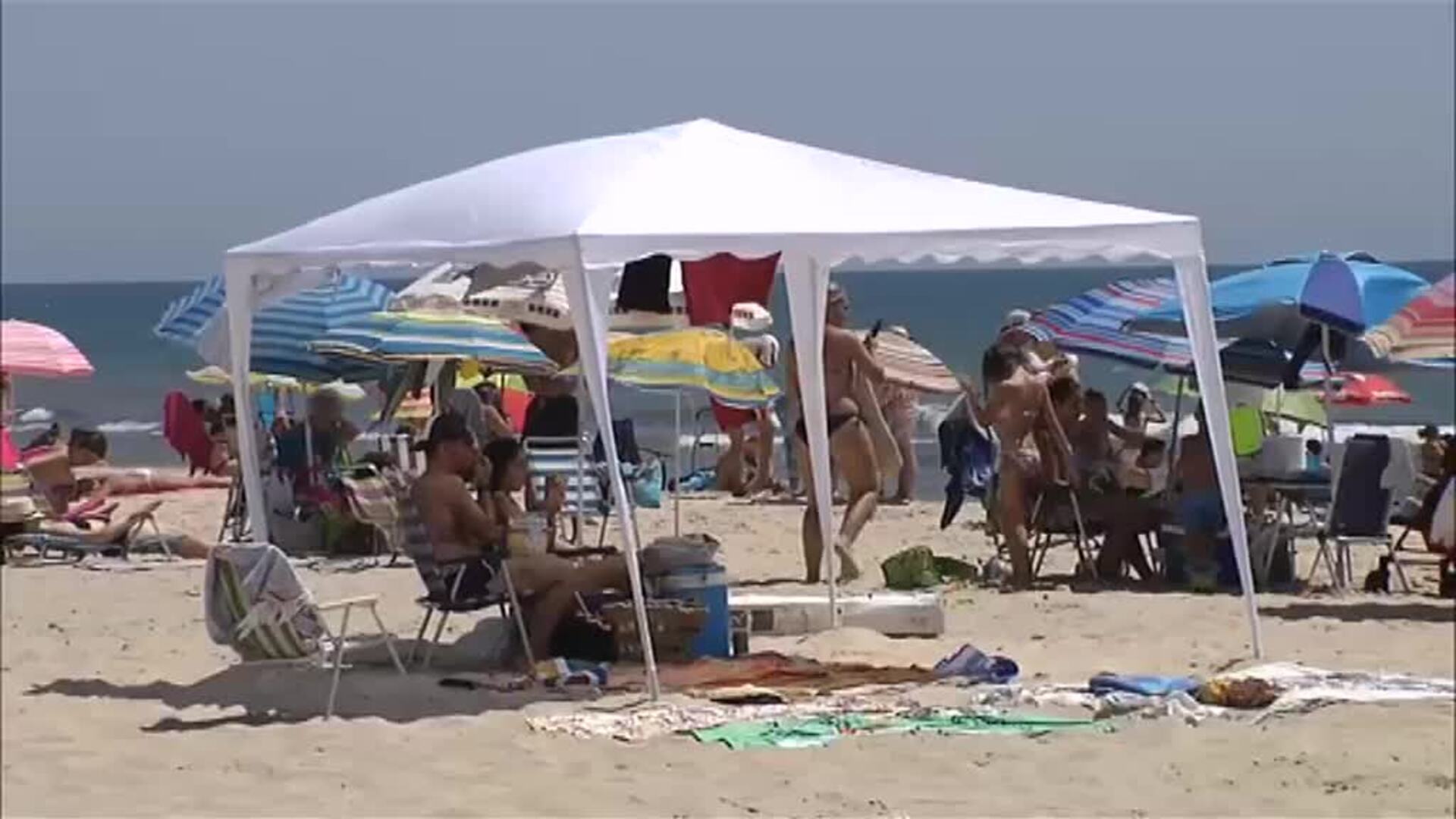 La invasión de las carpas playeras