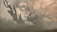 Ascienden a 16 los muertos por los incendios en Australia