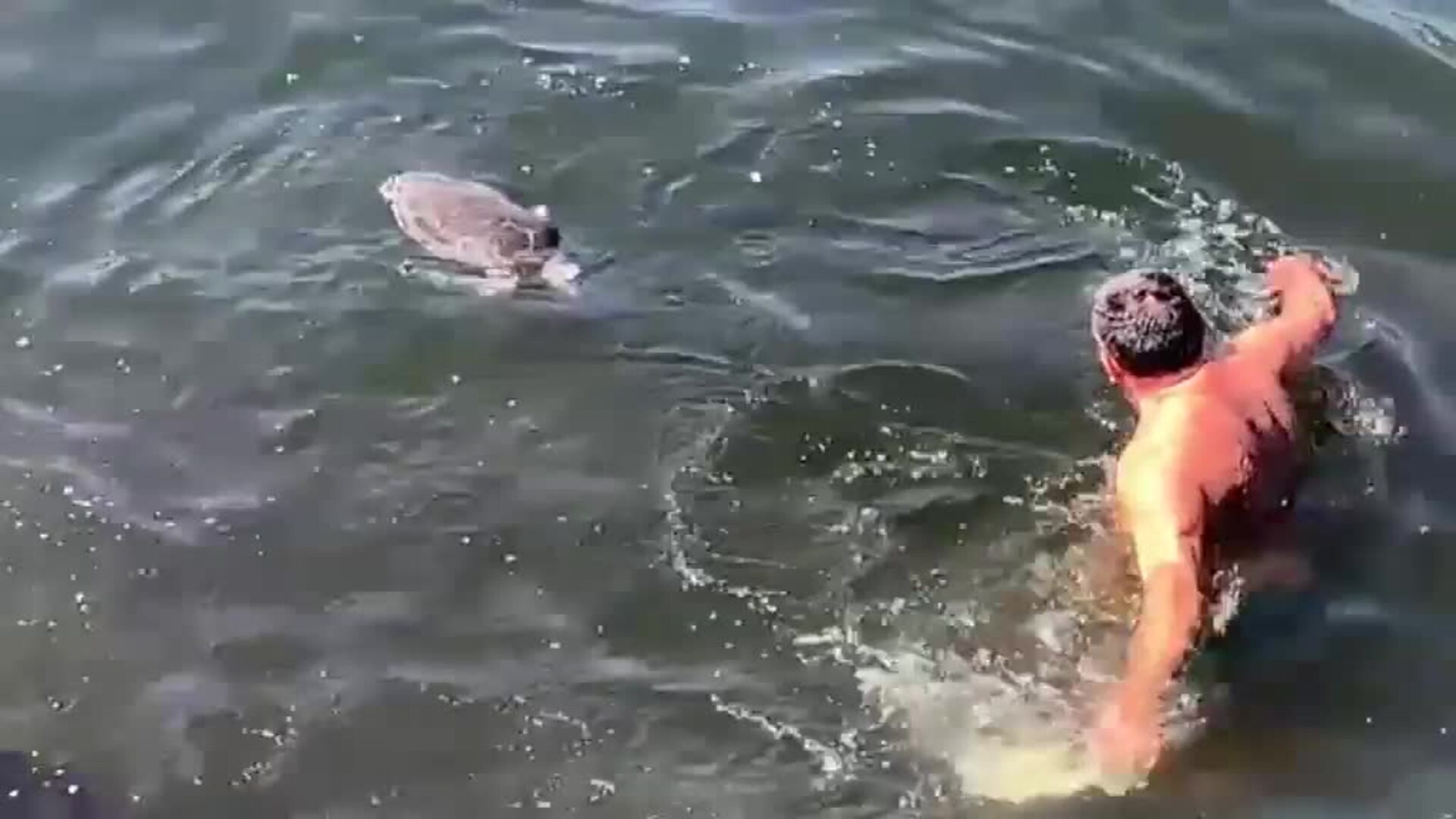 Los terribles efectos de la contaminación en Río de Janeiro