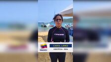 Científicos venezolanos identifican especies marinas afectadas por coral invasor