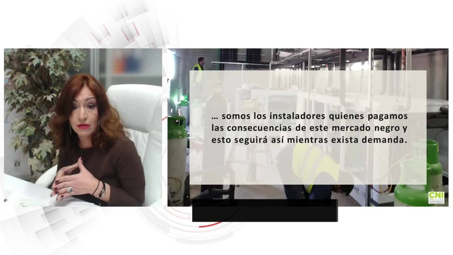 Expertos debaten sobre el comercio ilegal de gases refrigerantes en la UE