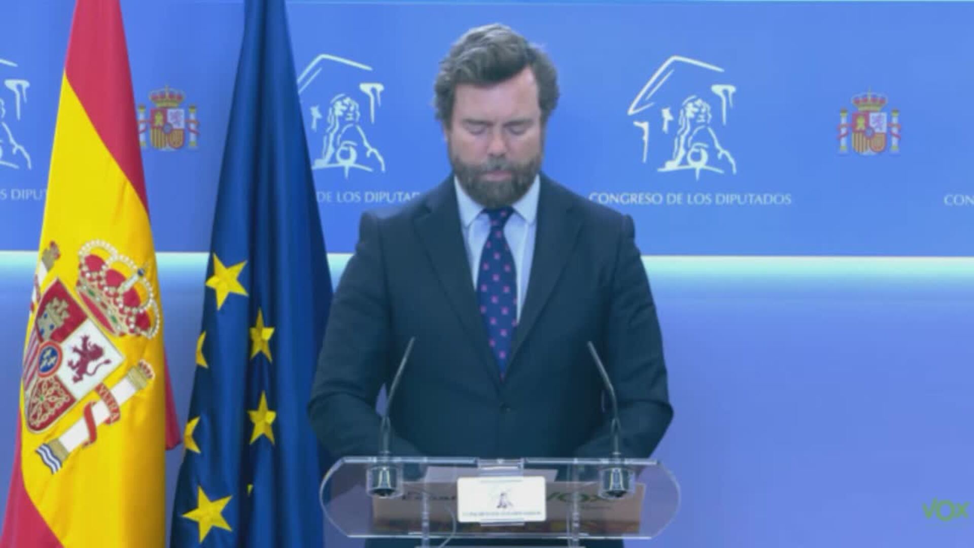 Vox celebra que el TC tumbe también el segundo estado de alarma