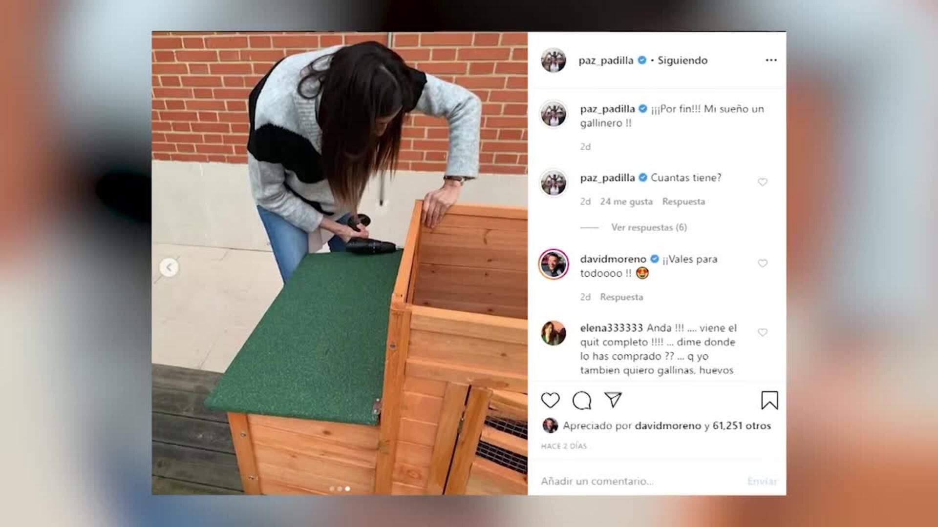 Paz Padilla se fabrica un gallinero para tener &quot;huevos ecológicos&quot;