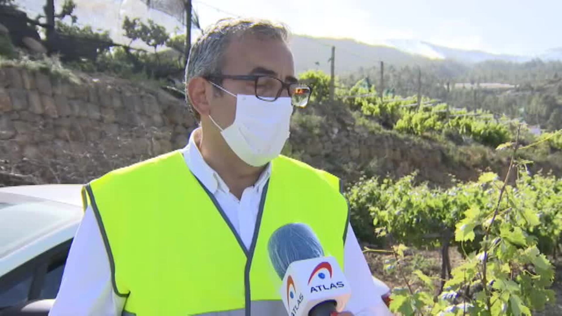 Un incendio arrasa 400 hectáreas de espacio protegido en Arico