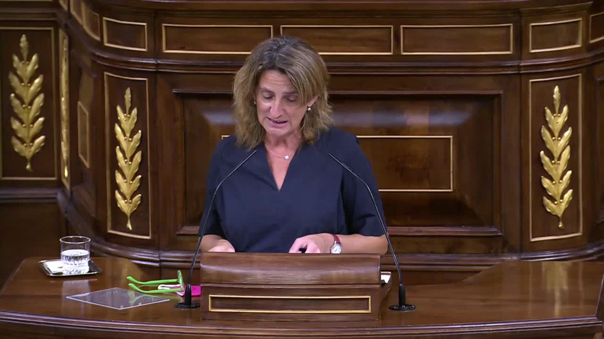 Ribera asegura que la reducción de emisiones de CO2 es un &quot;objetivo a nivel nacional&quot;