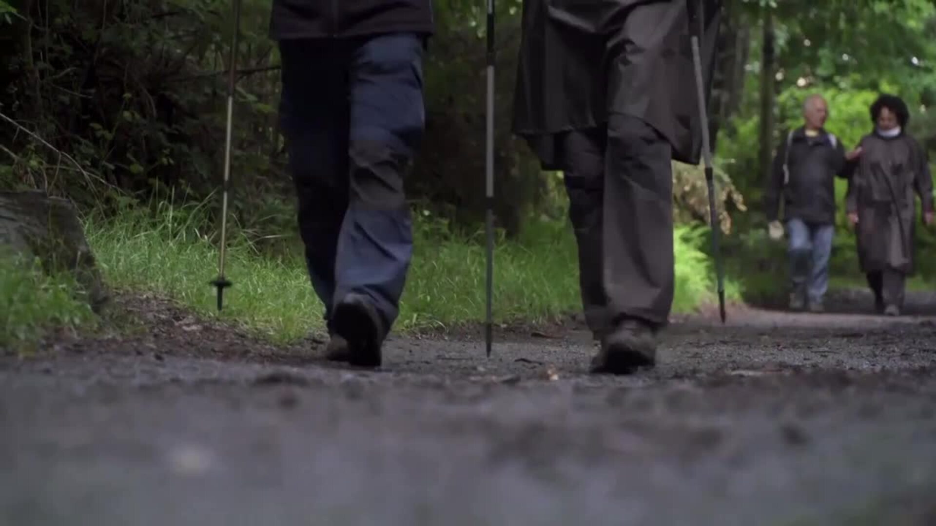 Expertos recomiendan &quot;preparación física&quot; antes de hacer el Camino de Santiago