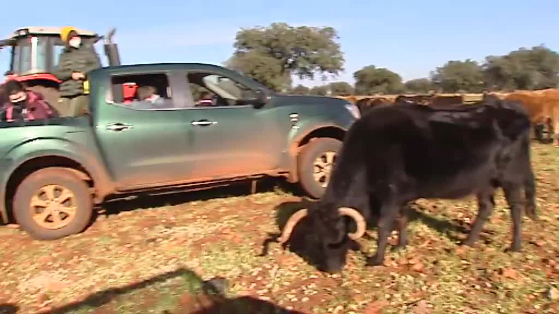Terapia contra el cáncer infantil con animales en plena naturaleza