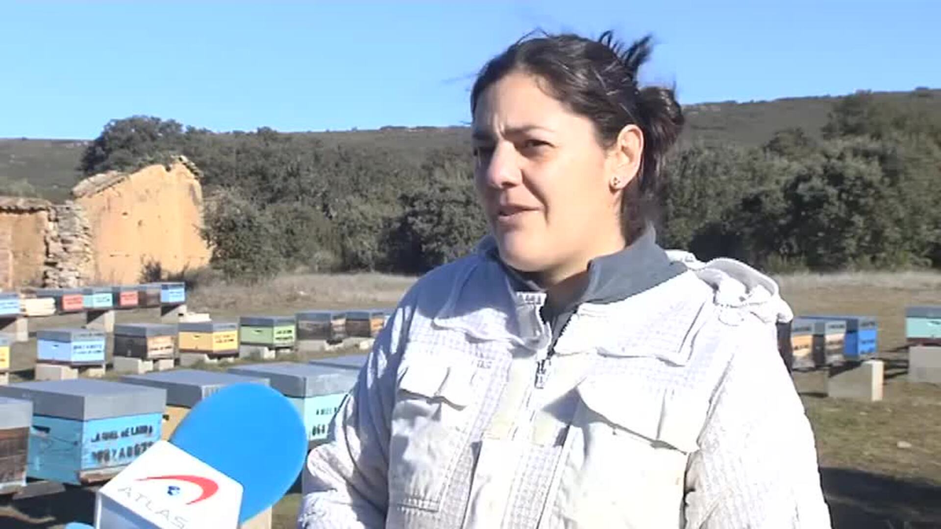 La apicultura, la crianza de abejas y la producción de miel están cada vez más en auge