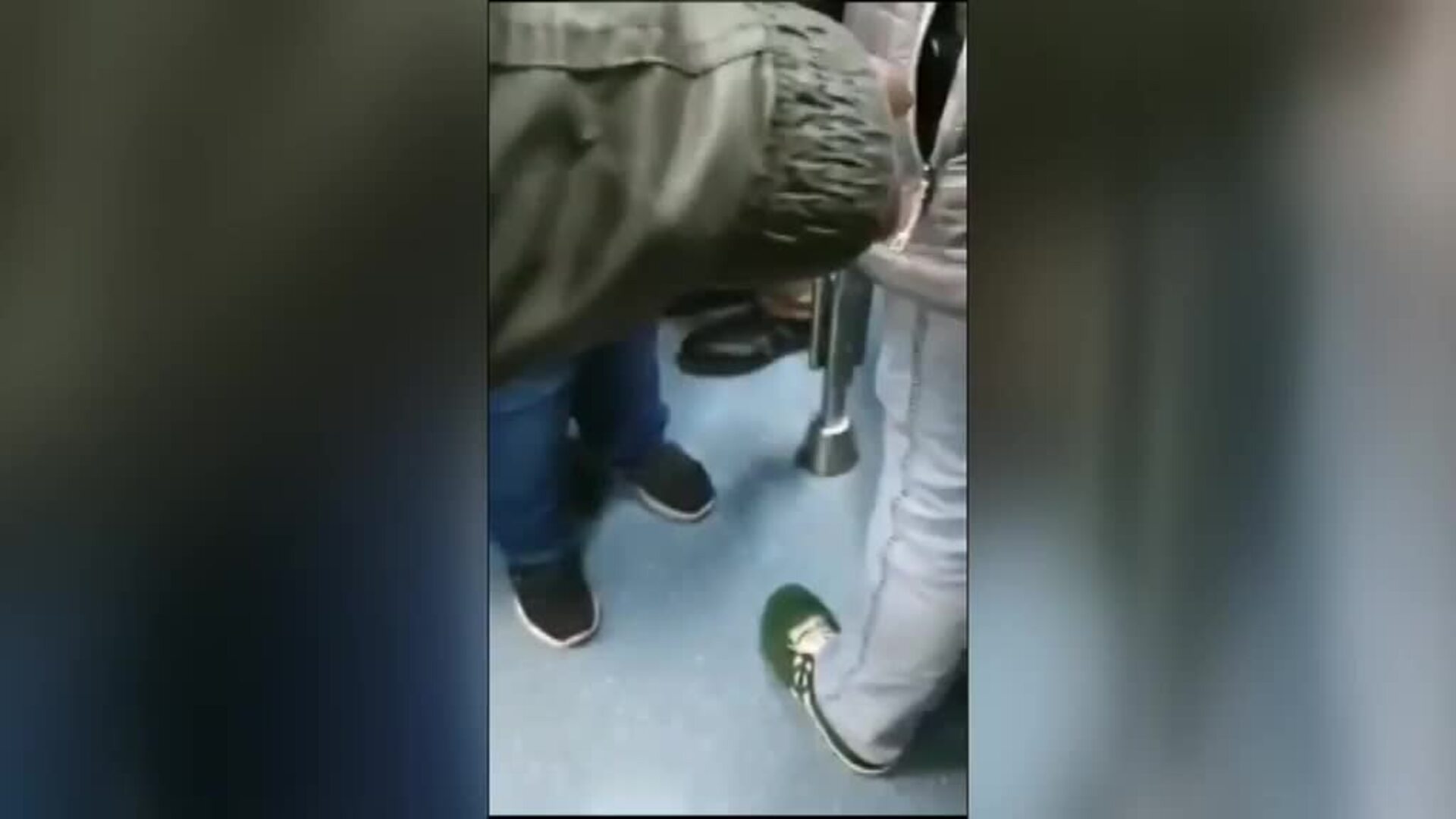 Dos carteristas intentan robar a un grupo de chicos con síndrome de Down en el metro de Barcelona