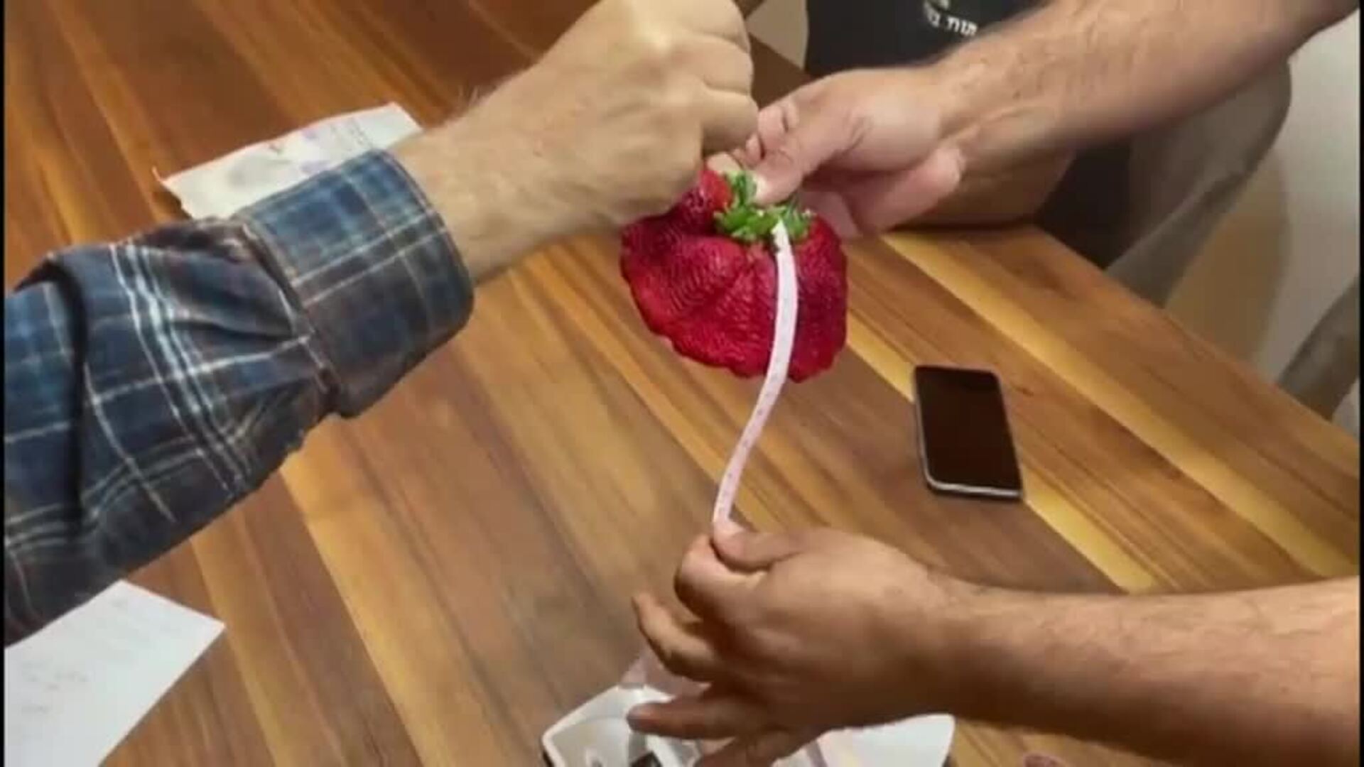 La fresa más grande del mundo pesa 289 gramos, cinco veces el peso de una normal