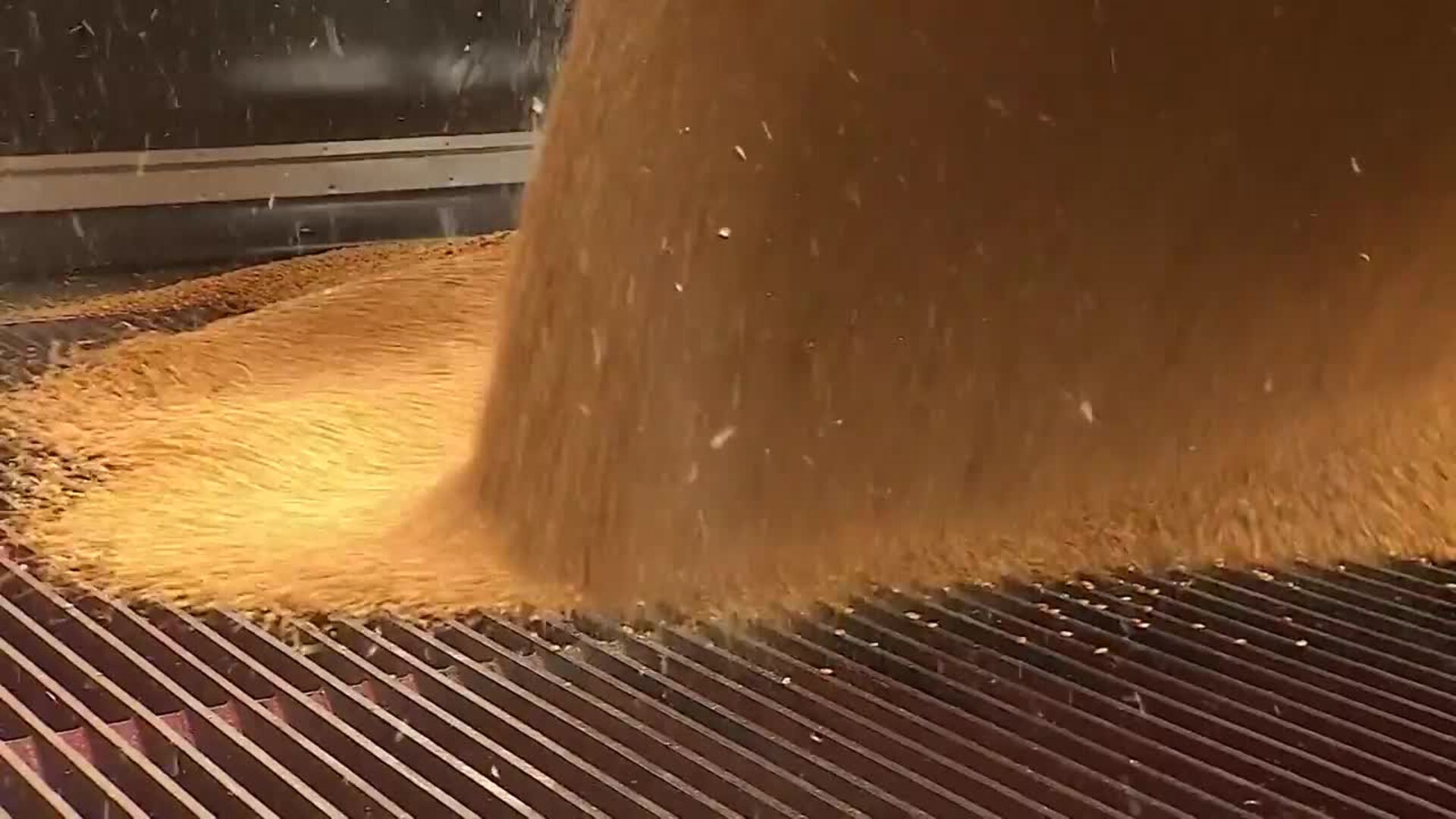 El G7 pide a Rusia que desbloquee las exportaciones de grano de Ucrania