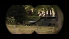 Tiburones y amores 'Materialistas' en los estrenos de cine
