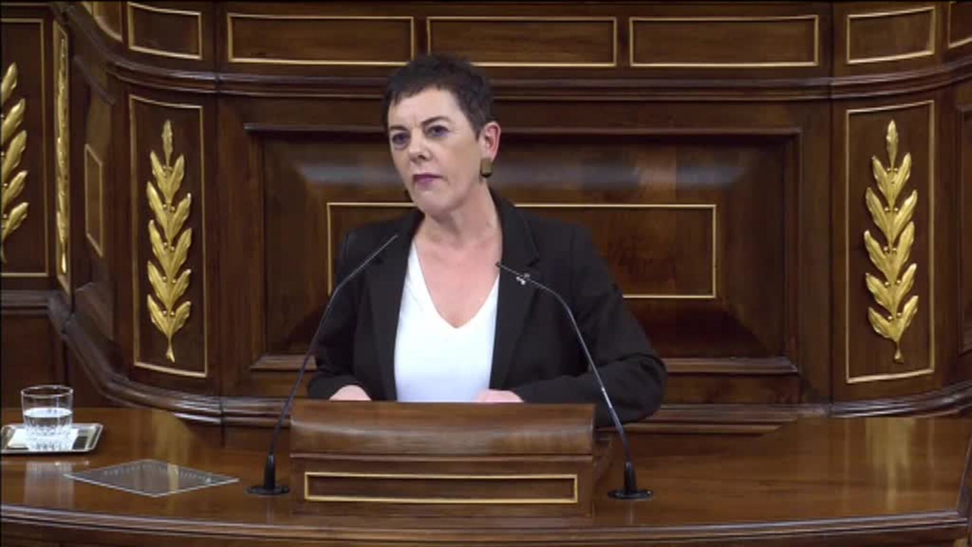 La bronca contra EH Bildu marca la segunda jornada de investidura