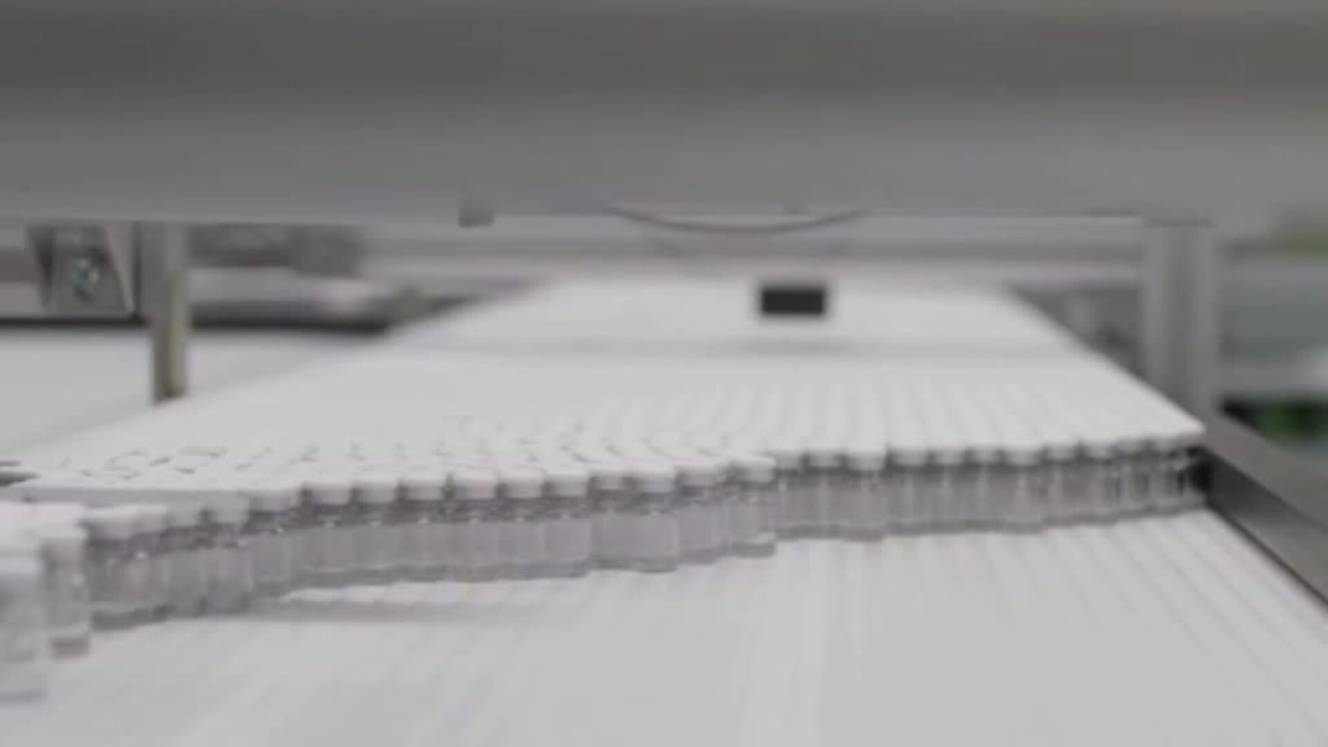 ¿Quiénes deben vacunarse primero?