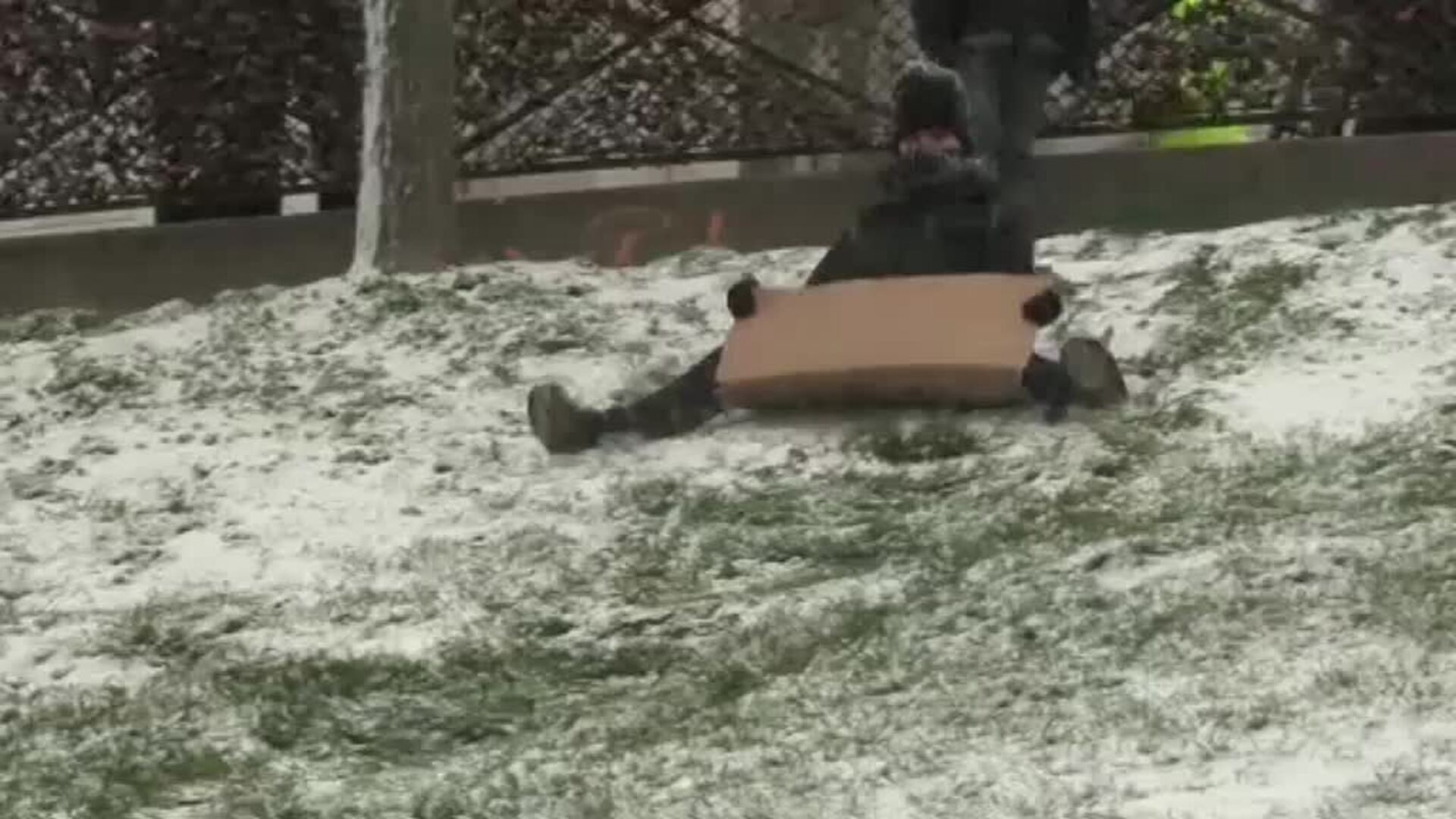 La nieve también llega a París