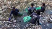 Activistas medioambientales limpian un río en Bali en el Día del Agua