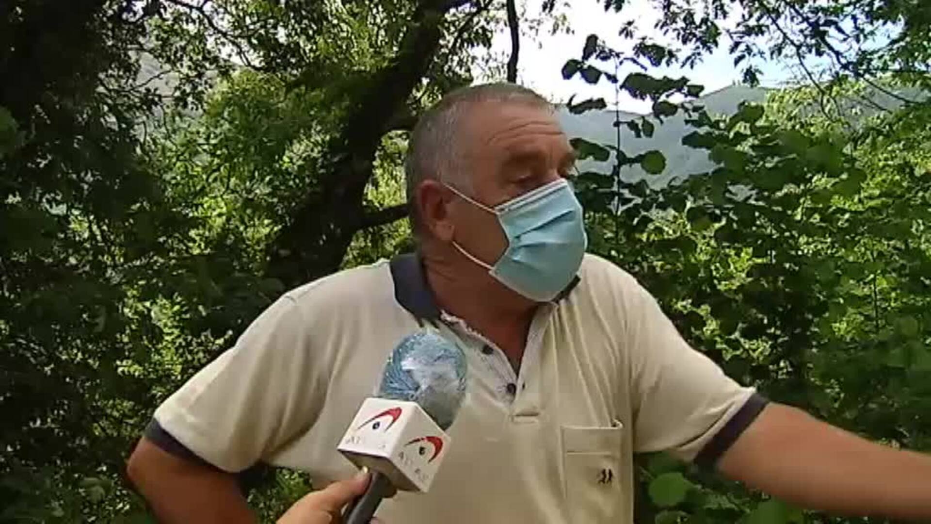 Los osos le han perdido el miedo a los vecinos de Asturias