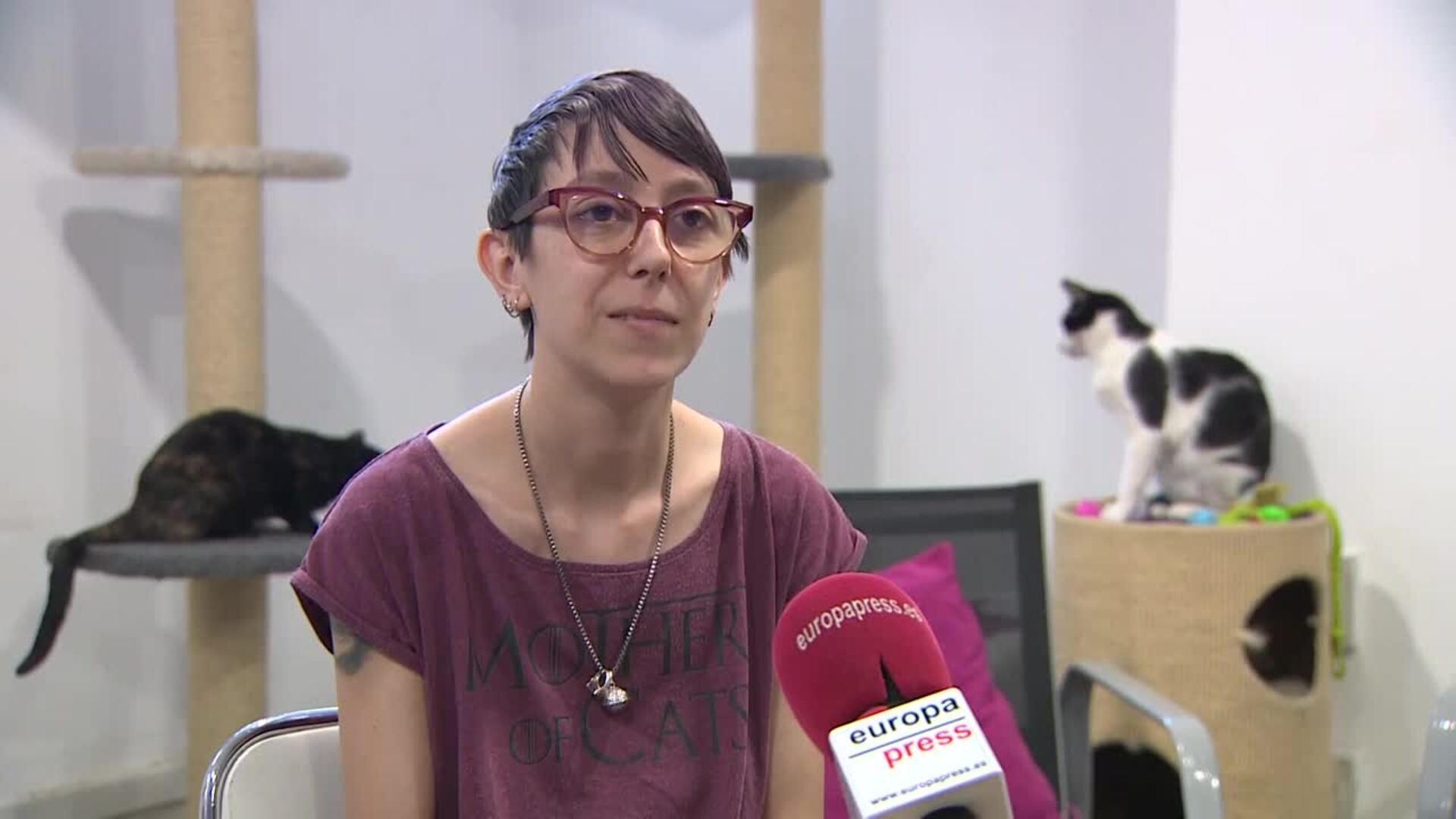 La reponsable de &#039;La Gatoteca&#039; explica el proyecto