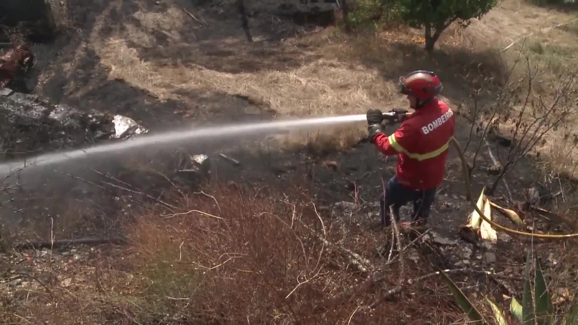 Portugal sufre con &quot;angustia&quot; los incendios en el centro del país