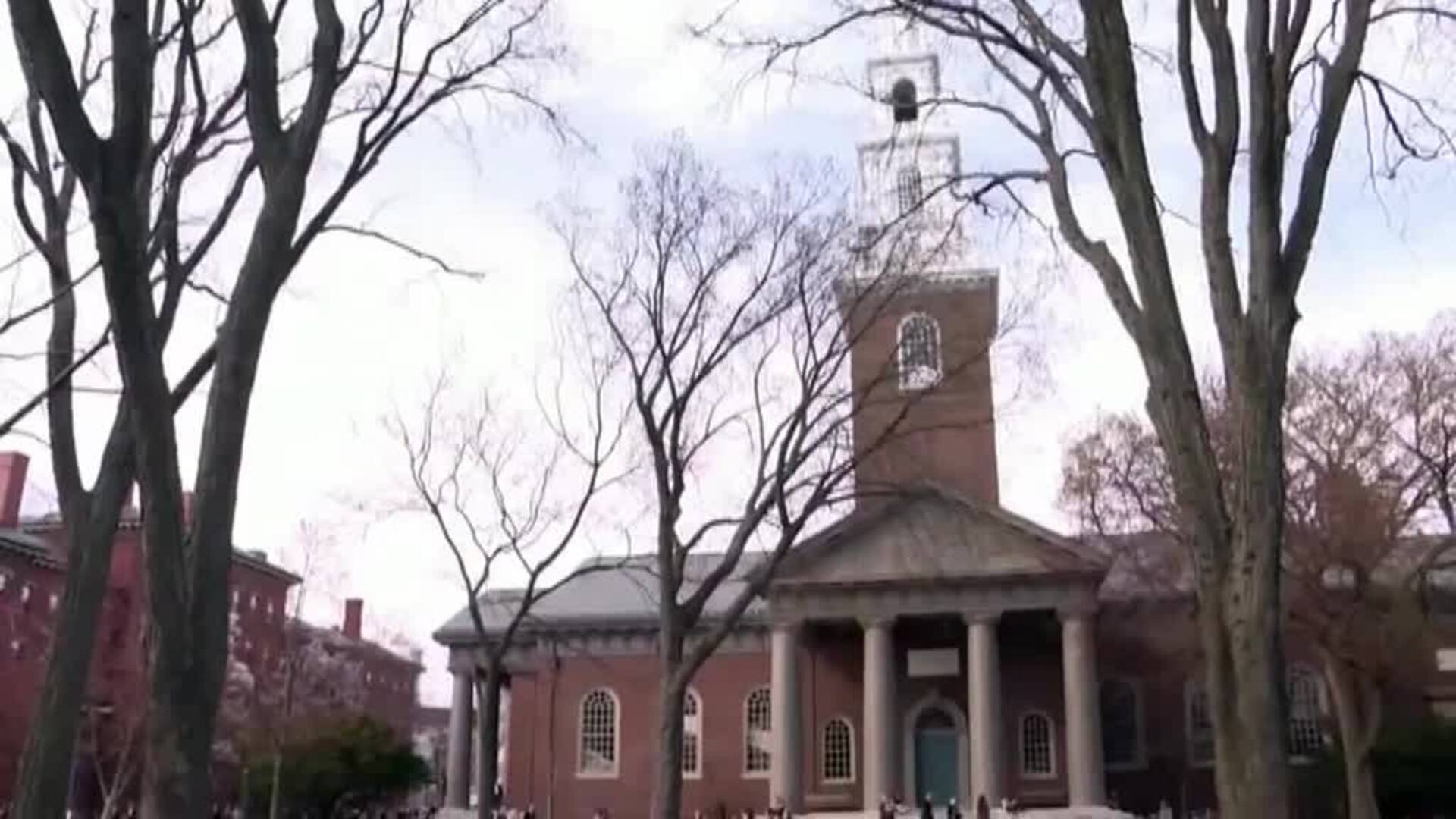 Un macroestudio señala al virus de la enfermedad del beso como causa principal de la esclerosis múltiple