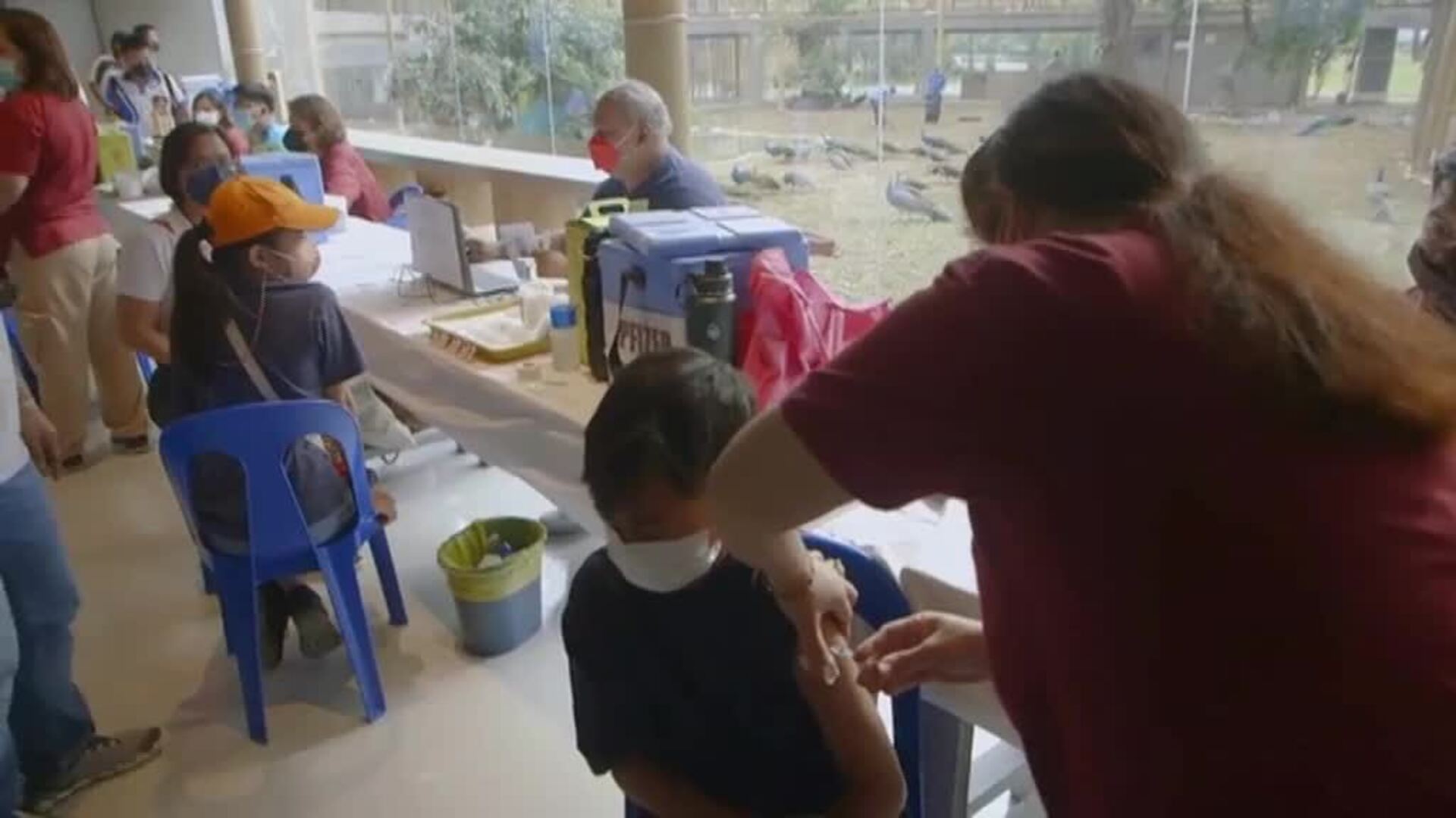 Menores filipinos se vacunan rodeados de animales