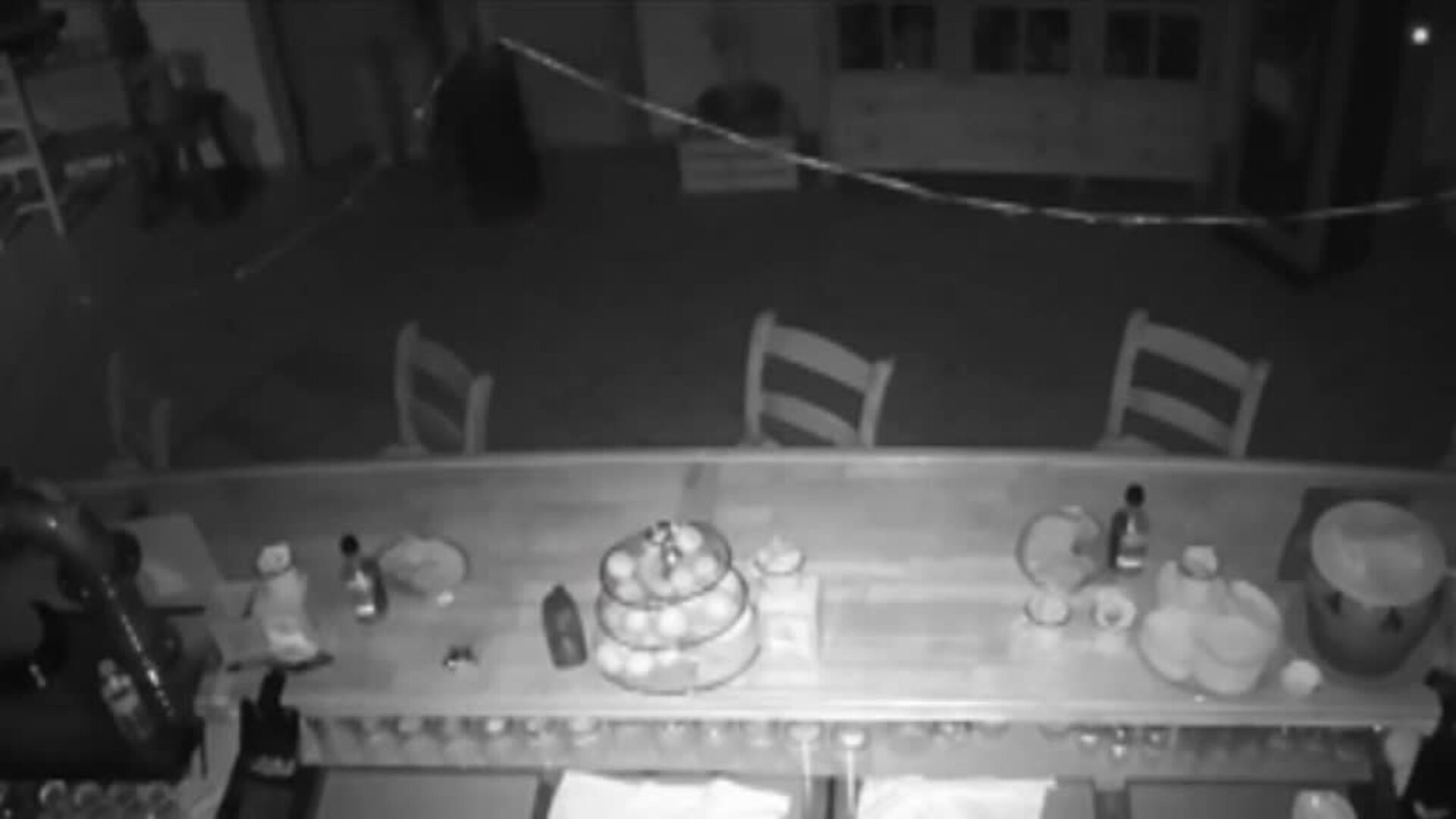 Absurdo intento de robo de un mesón en Benalup-Casas Viejas (Cádiz) con los ladrones parando a picar algo