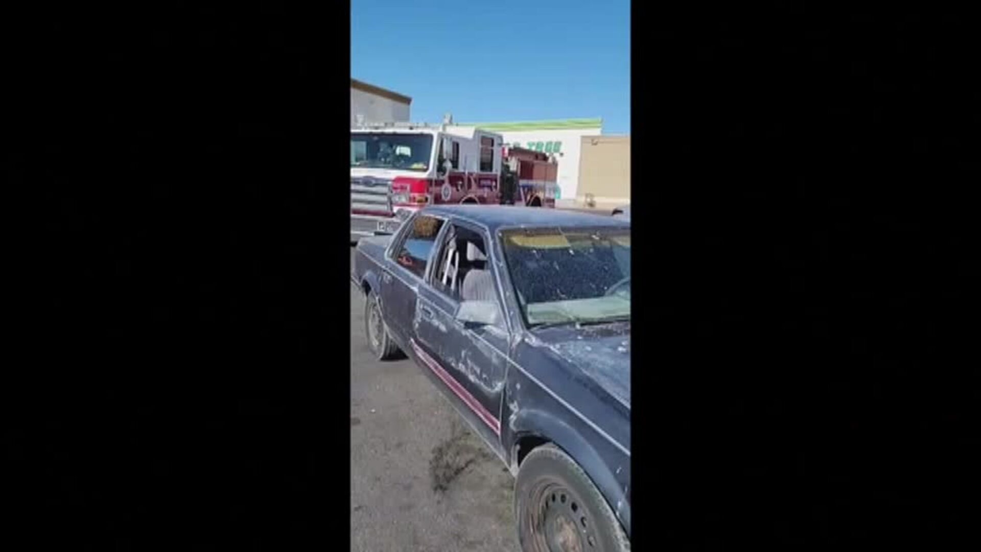 Miles de abejas se introducen en el interior de un vehículo en Nuevo México (EEUU) mientras el dueño hacia la compra