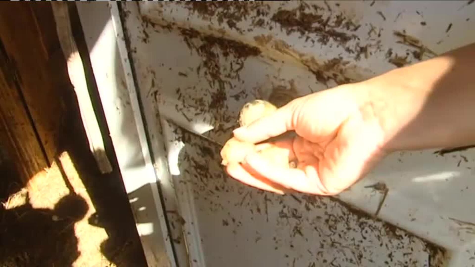 La DANA 48 horas después: toca empezar de cero