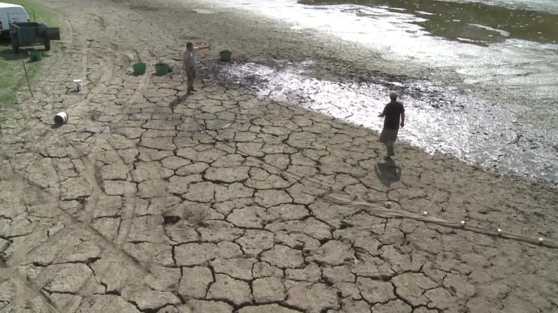 Un estudio apunta a que la luz de las ciudades influye en la disminución de los insectos