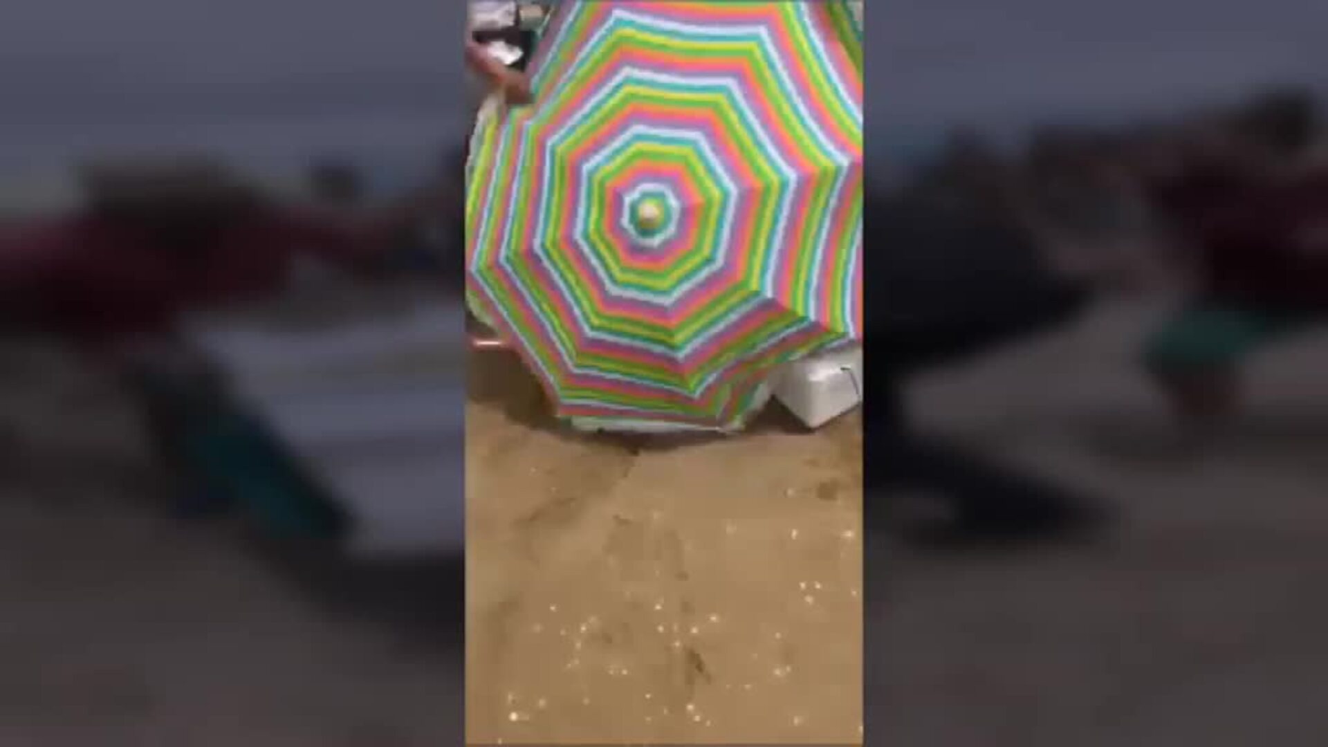 Condenado a dos años de cárcel el hombre que apuñaló al jefe de la policía local de Punta Umbría