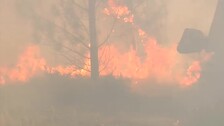 Ola de incendios provocados en Galicia: 1.000 hectáreas quemadas