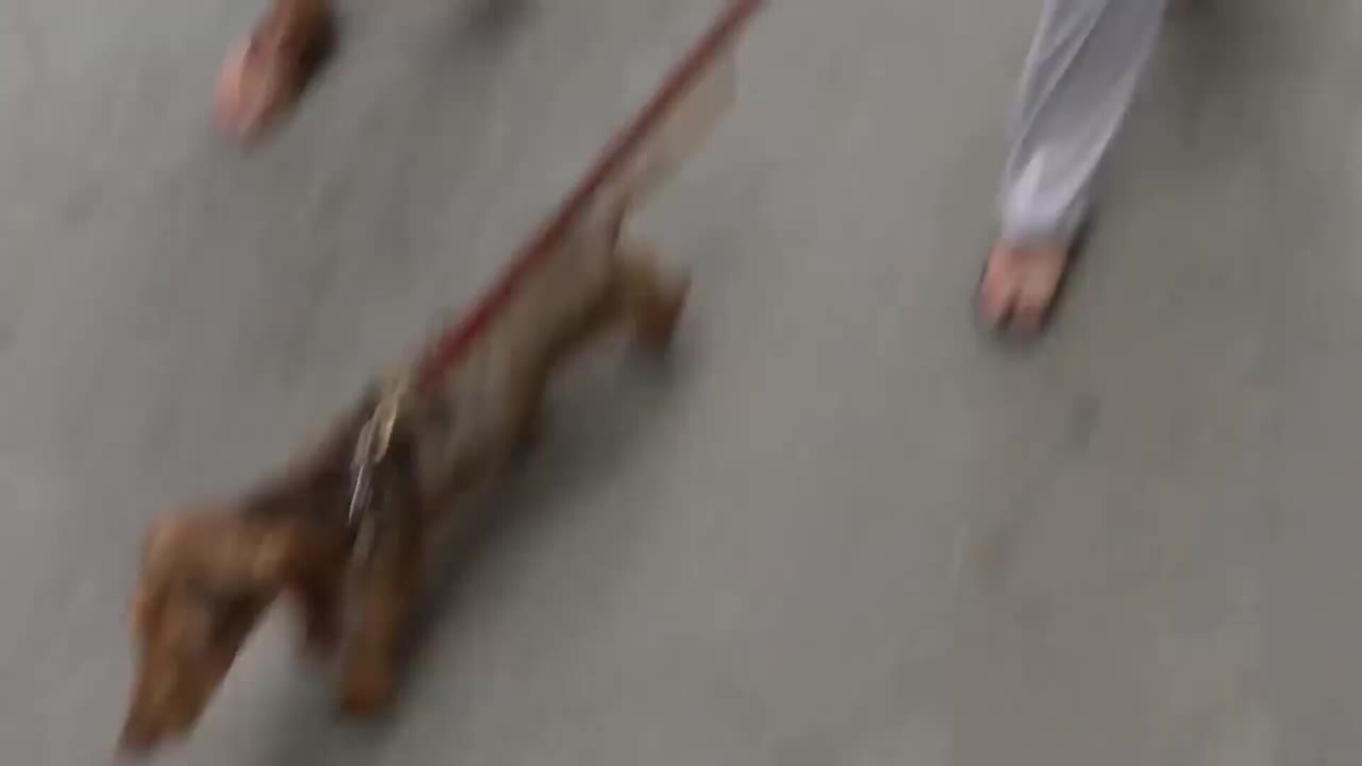 Claudia Ortiz habla por primera vez sobre su boda con José Entrecanales