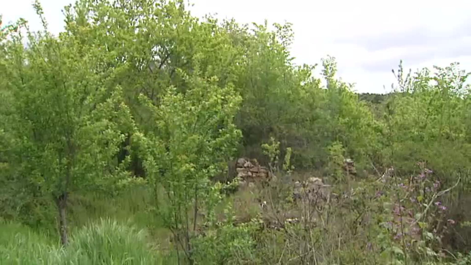 La historia vuelve para devolver la identidad y salvar a Fraguas