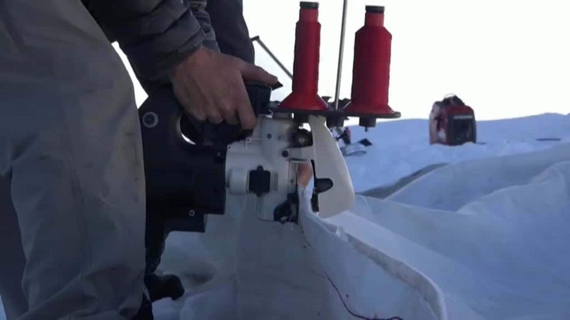 Un escudo protector natural para proteger las laderas y glaciares de los Alpes suizos