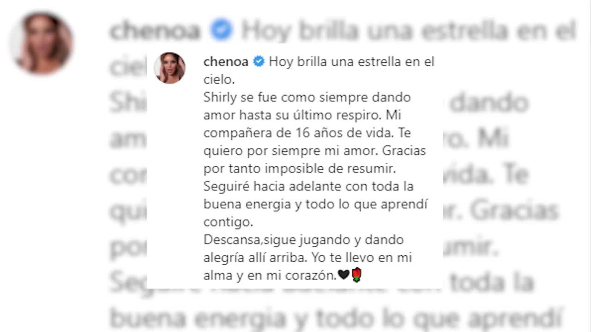 Chenoa, destrozada, se despide de su compañera más fiel