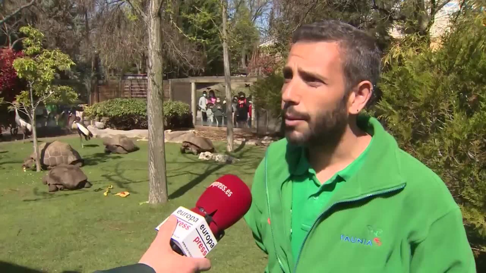 Los más pequeños disfrutan de las tortugas gigantes de Faunia