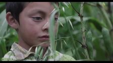 Tatiana Huezo celebra que el documental gane "fuerza" en los Premios Platino