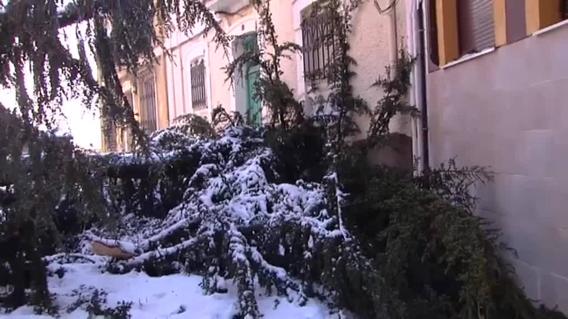 La acumulación de nieve causa estragos en Jaca