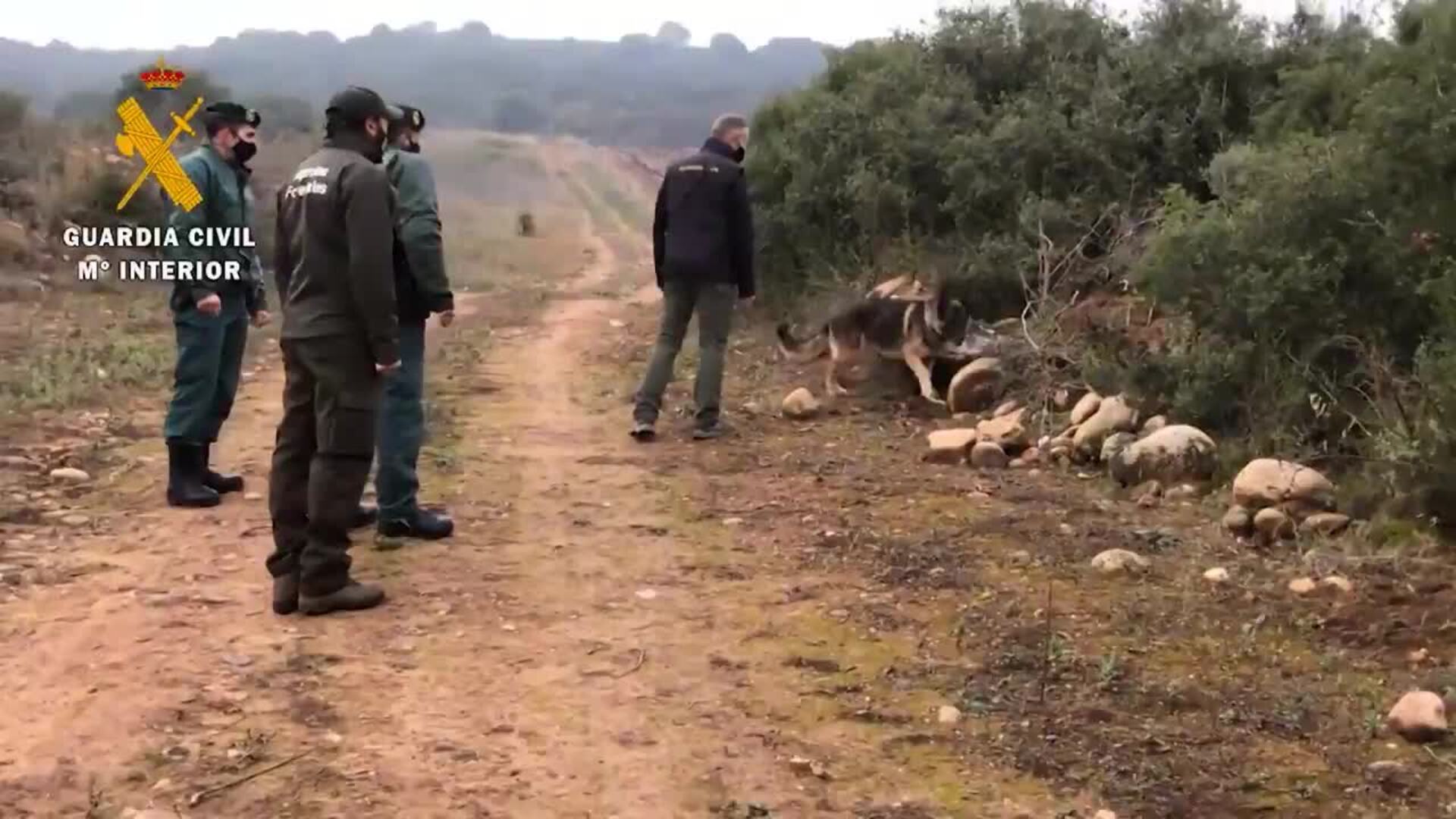 Guardia Civil busca cebos envenenados en La Rioja