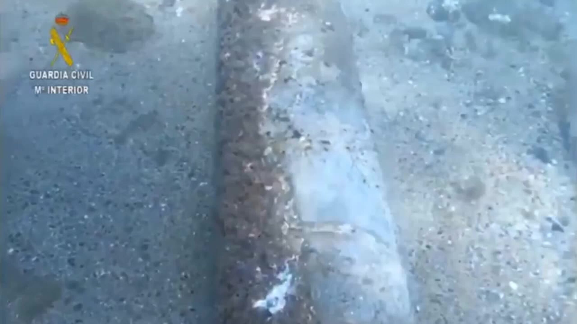 Hallan un artefacto explosivo en el agua de una playa de Barcelona